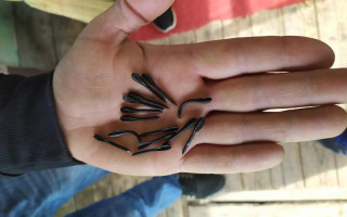 Війська РФ обстріляли прикордоння Сумщини артснарядами, начиненими флешетами – ДПСУ, фото та відео