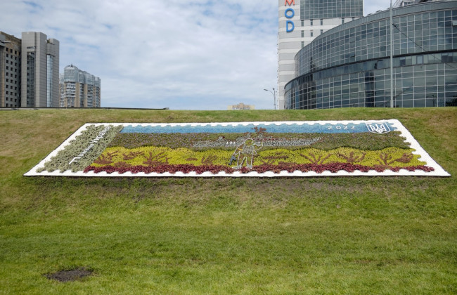 В Києві створили понад 30 патріотичних квітників