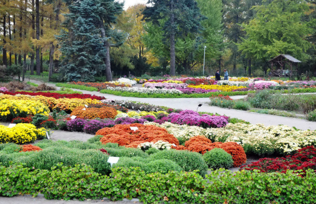 Ботанический сад на Печерске снова открыт: график работы