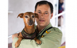 У собачки от стресса поседела мордашка за 8 дней непрерывных обстрелов в Харькове