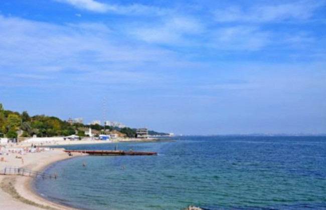 Еколог повідомив, скільки дельфінів загинуло у Чорному морі через війну