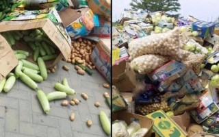 Окупанти не пропускають товар: на Запоріжжі фермери викинули тонни овочів, фото