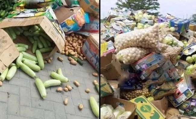 Окупанти не пропускають товар: на Запоріжжі фермери викинули тонни овочів, фото