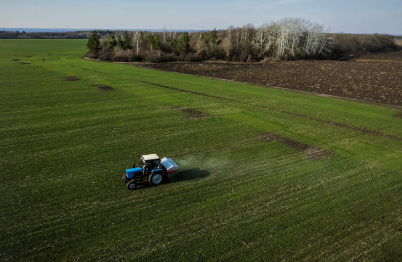 Россия может продать украинское зерно африканским странам – The New York Times
