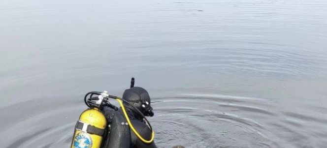 В Киеве в озере обнаружили утопленника