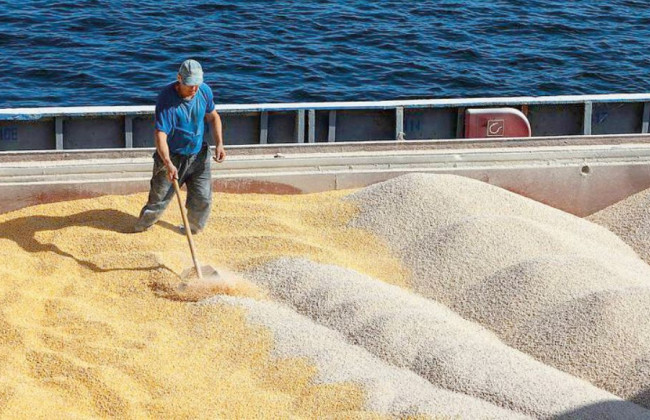 Турция намерена покупать у Украины зерно с большой скидкой