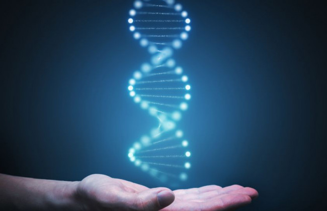 Пошук за ДНК: як знайти загиблих чи зниклих рідних під час війни