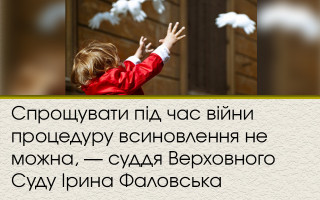 Спрощувати під час війни процедуру всиновлення не можна, — суддя Верховного Суду Ірина Фаловська