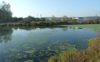 В озері на Київщині виявили тіло чоловіка