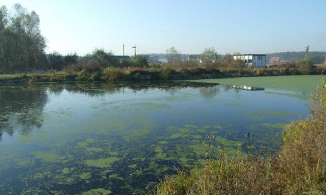 В озері на Київщині виявили тіло чоловіка