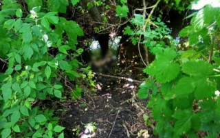 В Одесской области горе-мать выбросила  новорожденного ребенка в реку