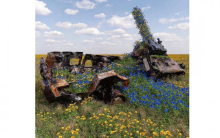 Знищена російська техніка в Україні заросла синьо-жовтими квітами: фото