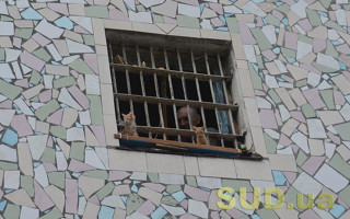 Тюрьмы во время войны в оккупации: правозащитники сообщили о проблемах с эвакуацией