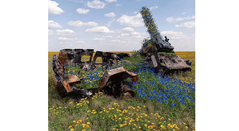 Знищена російська техніка в Україні заросла синьо-жовтими квітами: фото