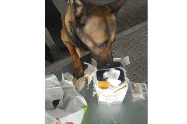 Служебные собаки одесских таможенников нашли наркотики, фото