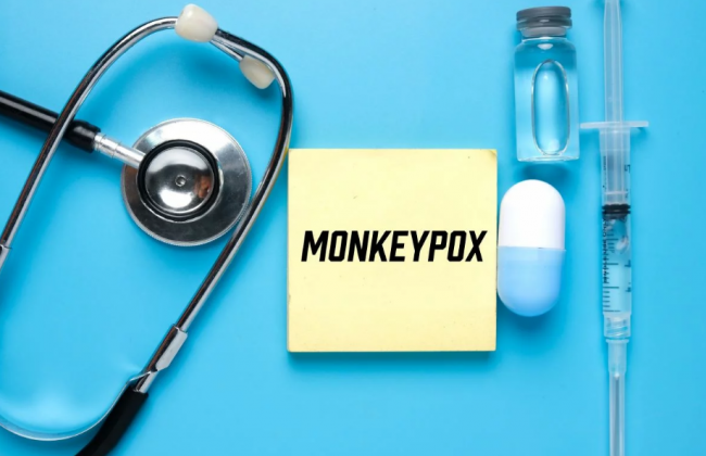 Оспа обезьян уже на границе с Украиной: в Польше подтвердили первый случай заражения