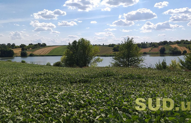 Набрав чинності закон щодо особливостей регулювання земельних відносин в умовах воєнного стану