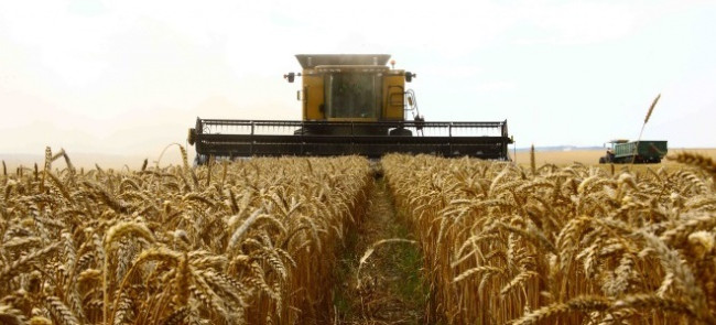 Осенью Украине может не хватить складских помещений для хранения урожая