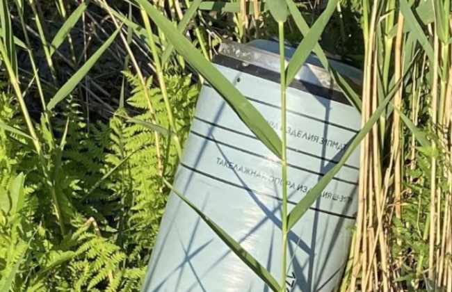 Под Киевом часть российской ракеты застряла в камышах, фото