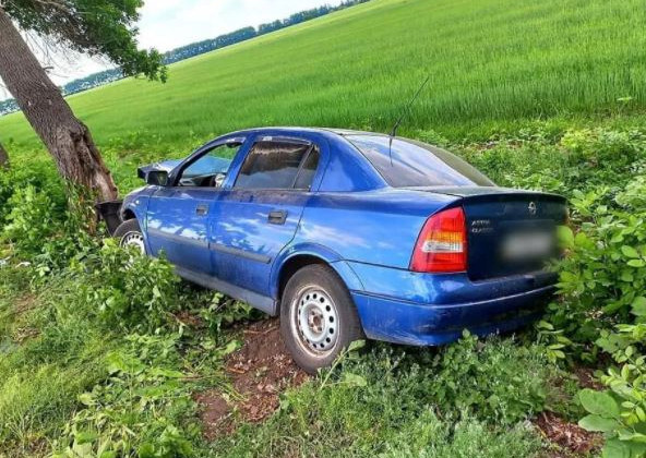 Учил жену ездить: на Киевщине авто с супругами влетело в дерево