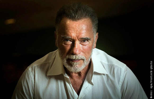 «На наших руках кровь», — Арнольд Шварценеггер обратился к европейским лидерам, видео