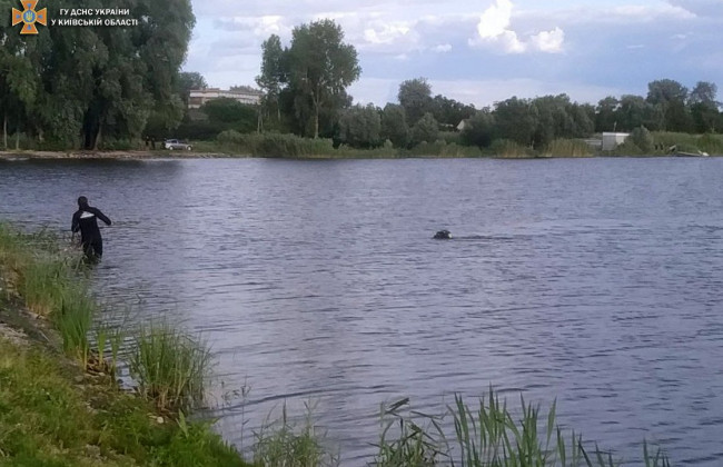 На Київщині потонув 15-річний хлопець під час купання на озері