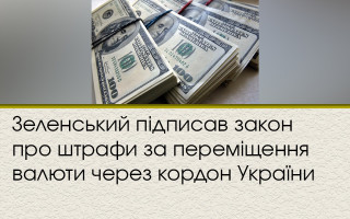 Зеленський підписав закон про штрафи за переміщення валюти через кордон України