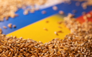 Супутникові знімки підтвердили, що РФ вивозить вкрадене в України зерно до Сирії: фото