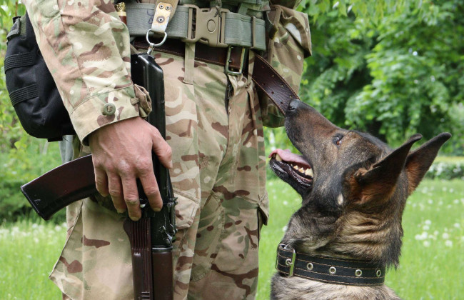 Розвідниця Мальта: в ГУР показали фото чотирилапої колеги