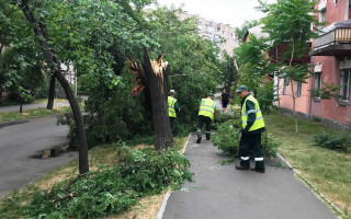 80 пошкоджених та 20 повалених дерев: у КМДА показали наслідки негоди у столиці, фото