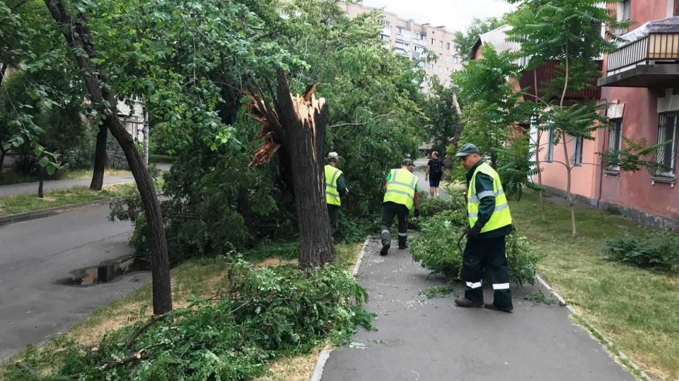 80 пошкоджених та 20 повалених дерев: у КМДА показали наслідки негоди у столиці, фото