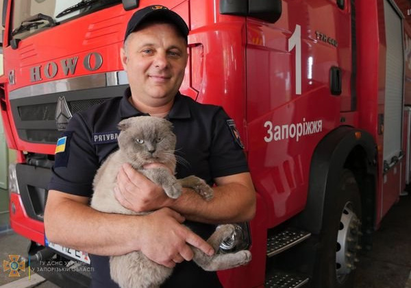 Нулик з Донбасу: рятувальники відшукали дім для кота з передової, фото