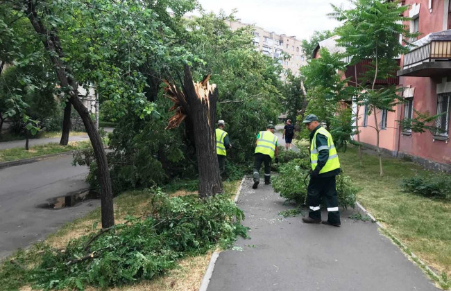 80 пошкоджених та 20 повалених дерев: у КМДА показали наслідки негоди у столиці, фото