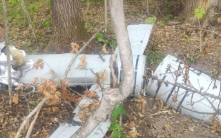 На Вінниччині у лісі знайшли збиту російську ракету «Калібр», фото