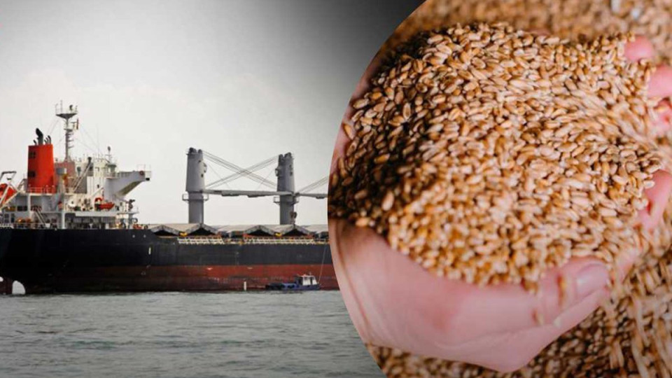 Россия вывезла более 500 тысяч тонн украденного украинского зерна
