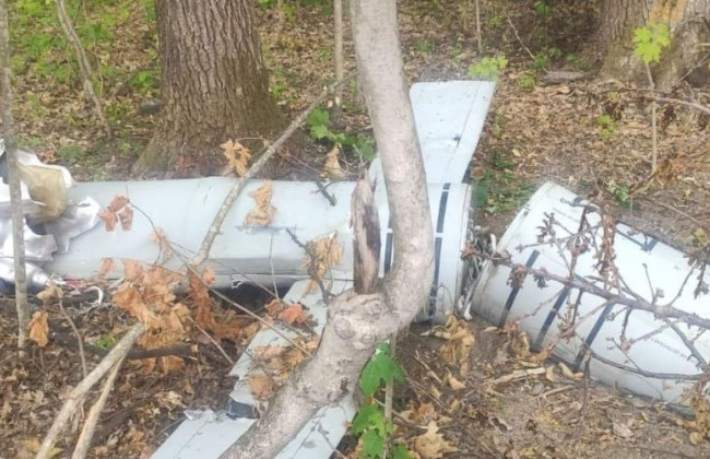 На Вінниччині у лісі знайшли збиту російську ракету «Калібр», фото
