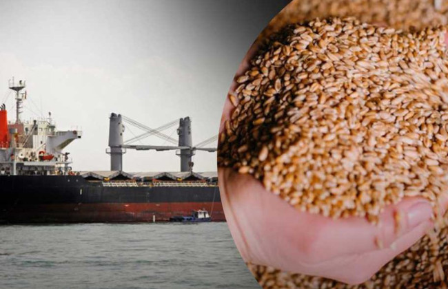 Россия вывезла более 500 тысяч тонн украденного украинского зерна