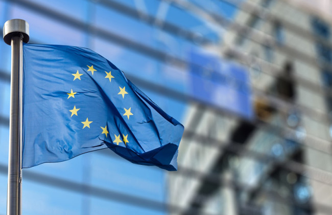 Оппозиция Грузии чуть ли не умоляла нас о статусе кандидата, — депутаты Европарламента