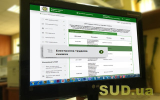 Як подати відомості про трудову діяльність для створення електронної трудової книжки: роз’яснення