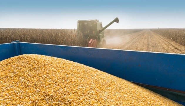 В Германии надеются на ежедневный экспорт зерна из Украины в июле