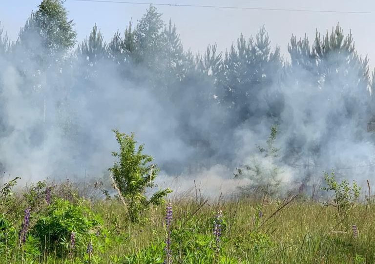 Два російські вертольоти обстріляли прикордоння Сумщини, – ДПСУ