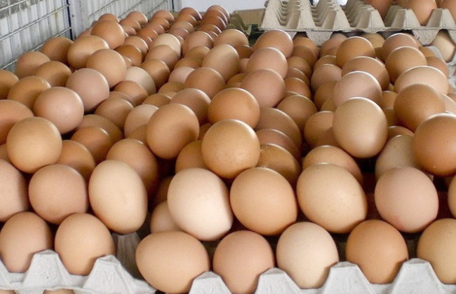 В Украине подорожали яйца и хлеб