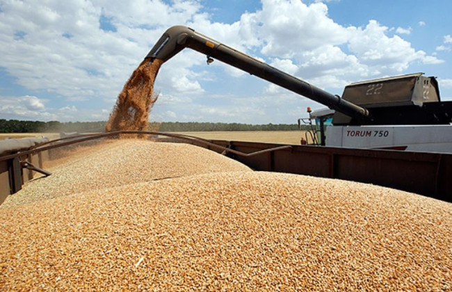 В Турции заявили о достижении консенсуса по созданию «операционного центра» для вывоза зерна из Украины
