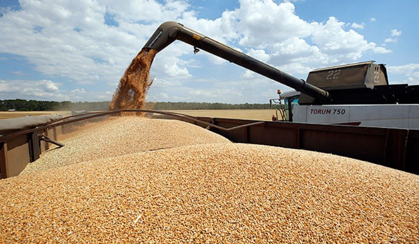 В Турции заявили о достижении консенсуса по созданию «операционного центра» для вывоза зерна из Украины