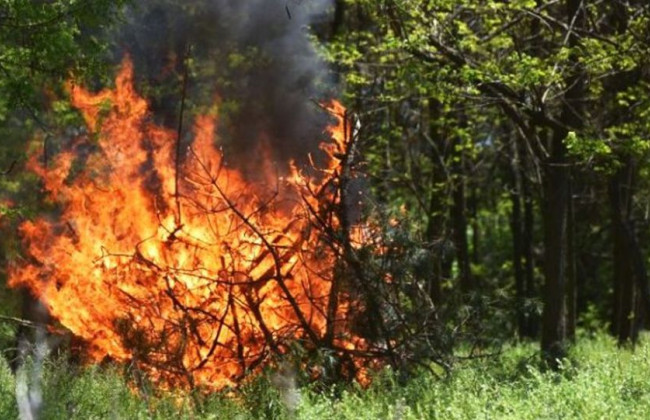 Киевлян предупредили о чрезвычайном уровне пожарной опасности