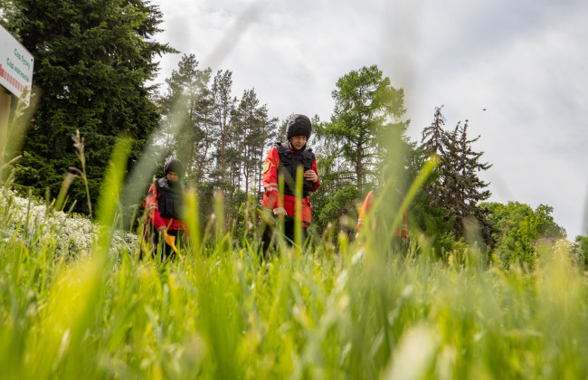 На території ботсаду Гришка у Києві піротехніки виявили боєприпаси
