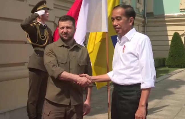 Владимир Зеленский встретился с президентом Индонезии Джоко Видодо в Киеве