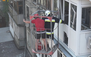 Удар по житловому будинку в Миколаєві: рятувальники провели операцію з порятунку лабрадора, відео