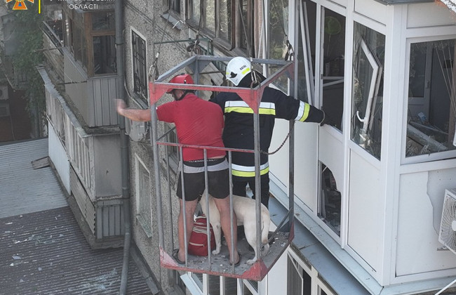 Удар по житловому будинку в Миколаєві: рятувальники провели операцію з порятунку лабрадора, відео