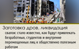 Заготовка дров, ликвидация свалок: стало известно, как будут привлекать безработных, студентов и внутренне перемещенных лиц к общественно полезным работам